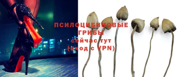 соль курить ск Армянск