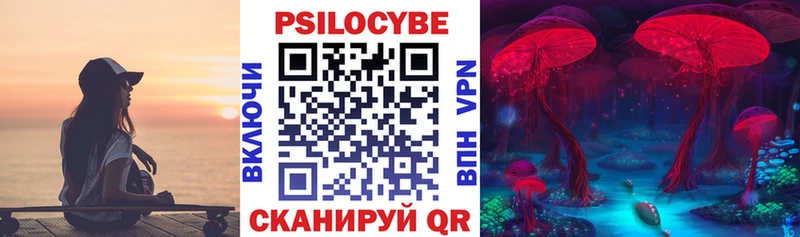 Галлюциногенные грибы Psilocybe  магазин продажи наркотиков  Тарко-Сале 